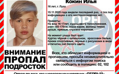 В Кировской области завершились поиски 16-летнего жителя Лузы
