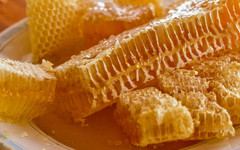 В России могут ввести ГОСТ на мёд