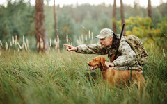 В Кировской области открыли сезон охоты с собакой на пернатую дичь