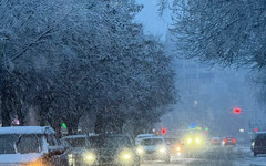 В Кирове ожидается потепление и дожди