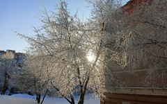 Какой будет погода в Кирове с 10 по 15 февраля?