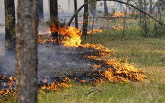 Начался сезон: в Кировской области из-за неосторожного обращения с огнём загорелась трава