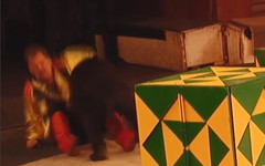 В кировском цирке медведица напала на дрессировщика во время выступления