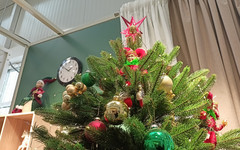 
								«Не поддаваться эмоциональному опьянению». Советы экспертов перед Новым годом
							