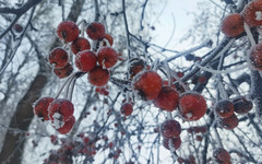 В Кировской области может похолодать до -13 градусов