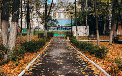 В Киров вернутся +15 градусов