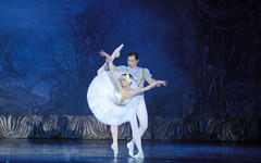 Сегодня в Кирове выступит Имперский русский балет с «Лебединым озером»