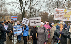 Противники мусорного полигона в Осинцах снова вышли на митинг