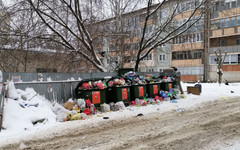 «Реализации нацпроекта Экология был положен конец». В Кирове к вывозу мусора привлекли технику ГДМС