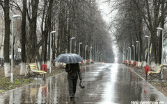 В Кирове и области объявили метеопредупреждение из-за сильного ветра и дождей