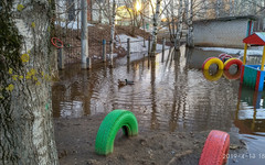 На затопленной площадке детсада в Кирове поселились утки