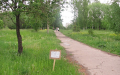 На развитие Кочуровского парка в Кирове власти города планируют потратить 60 миллионов рублей