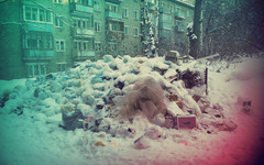 Со двора дома в центре Кирова уже вторую неделю не вывозят мусор (ФОТО)