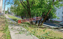 На перекрёстке Володарского и Азина упало дерево и повисло на проводах