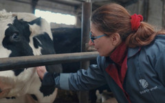 Оператор машинного доения: «От моей работы зависит качество молока и здоровье животного»