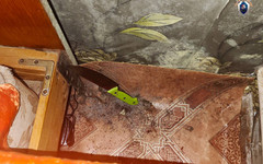 В Оричевском районе женщину обвиняют в убийстве сожителя