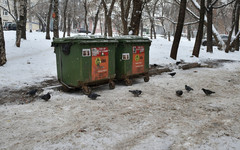 Новую схему вывоза мусора начнут внедрять в Кирове с декабря