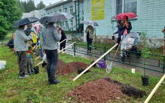 Жители Костино создали аллею Победы