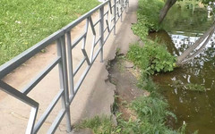 Мэрия: серые заборы в парке имени Кирова поставили временно