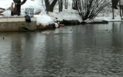8 марта кировчанин открыл купальный сезон (ВИДЕО)