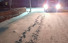 В посёлке Опарино грузовик сбил пешехода