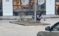 В Кирове полицейские сломали рёбра прохожему. Что об этом известно?