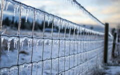 Погода в Кирове: на неделе похолодает до -26 градусов