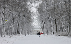 Погода в Кирове. Температура воздуха начнёт снижаться