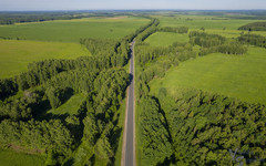 В Кировской области создадут полигон для изучения запасов углерода в почве