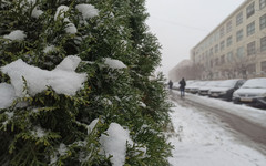 Когда в Кирове установится снежный покров?