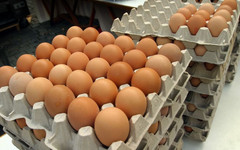 С начала 2023 года куриные яйца в России подорожали почти на 59 %