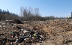 В Кировской области ликвидировали 478 стихийных свалок