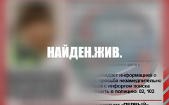 Пропавшего мальчика с собакой нашли живым
