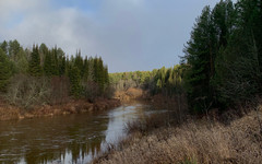В среду в Кирове ожидается гололедица при температуре до -4 C