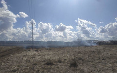 В Кировской области зафиксировали первый ландшафтный пожар