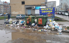 Почему в Кирове не вывозят мусор?