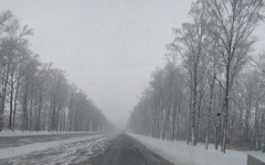 Погода в Кирове. Во вторник ожидается мокрый снег