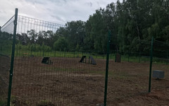 В Уржуме появилась площадка для выгула собак по решению суда