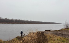 В Пижанском районе устранили экологическое нарушение