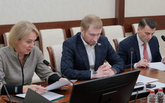 Кировские депутаты предлагают полностью запретить вейпы по всей России