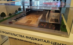 Участок для строительства фиджитал-центра в Кирове передали в аренду за один рубль