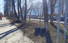 Кировчанам напомнили, куда убирать мусор с субботников