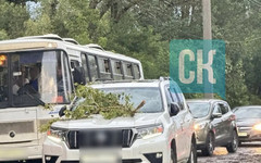 Поваленное ураганом дерево повредило машину на дамбе в Кирове: фото