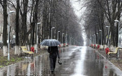 Погода в Кирове. В четверг ожидаются ливни