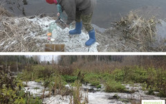 
								Молочное предприятие под Котельничем оштрафовали за сброс отходов в лес и реку
							