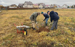 В Дороничах благоустроили парк