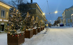 «Куприт» открыл пункт приёма ёлок для акции «Ёлковорот» в Кирове