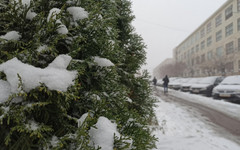 1 декабря Киров накроет снегопад