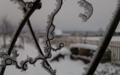 В Кировской области зарегистрированы первые 30-градусные морозы