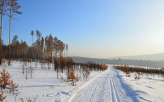 Несколько часов стоял в холоде: на трассе в Кировской области помогли замерзающему водителю